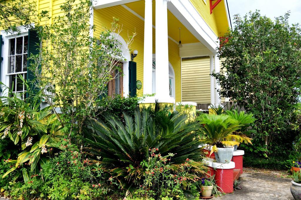 Auld Sweet Olive Bed And Breakfast New Orleans Ngoại thất bức ảnh